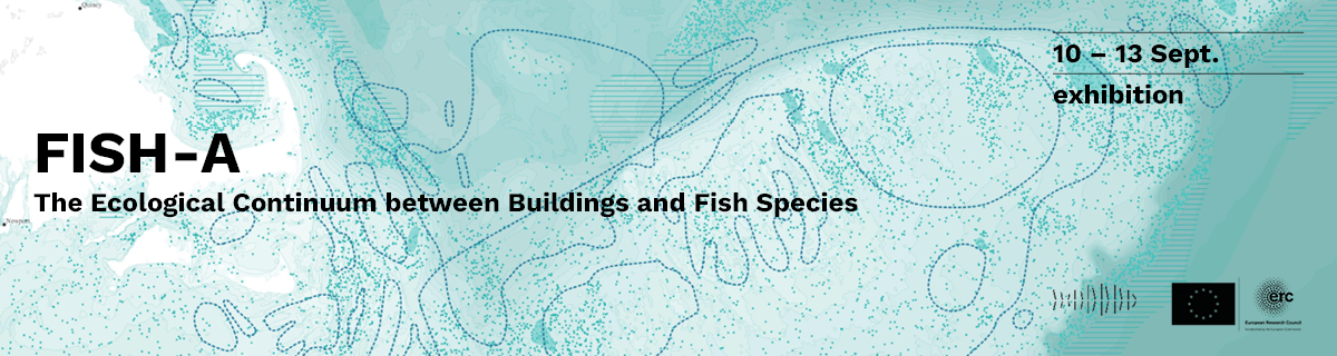 Exhibition | FISH-A . The Ecological Continuum between Buildings and Fish Species