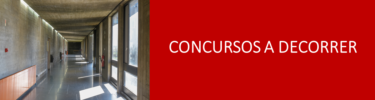 Concursos a decorrer