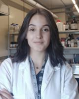 Fotografia de Ana Luisa Sousa Silva