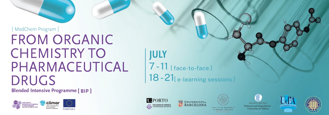 MedChem Program: From Organic Chemistry to Pharmaceutical Drugs
