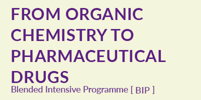 MedChem Program: From Organic Chemistry to Pharmaceutical Drugs - BIP-Edition 2024