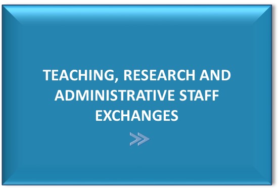 image teaching, Rresearch and administrative staff exchanges