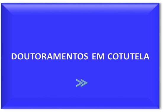 imagem doutoramentos em cotutela