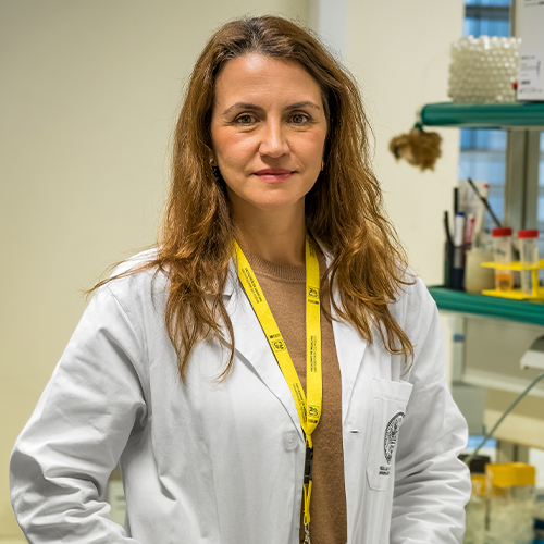 Ci�ncia | Estudo identifica primeiros casos de 'Candida auris' em Portugal