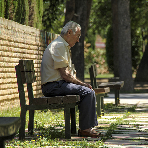 Sa�de | FMUP mostra que solid�o leva idosos a utilizar mais recursos de sa�de