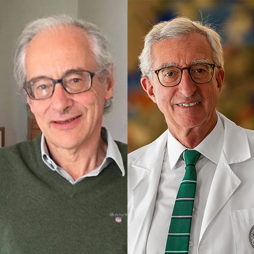 M�rito | Professores da FMUP proclamados Em�ritos em cerim�nia p�blica