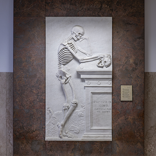 Evento | Museu de Anatomia da FMUP comemora Dia Internacional dos Museus