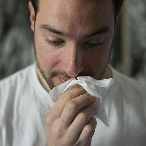 Ci�ncia | Epi-Asthma Lab promove projetos de investiga��o de excel�ncia em doen�as respirat�rias