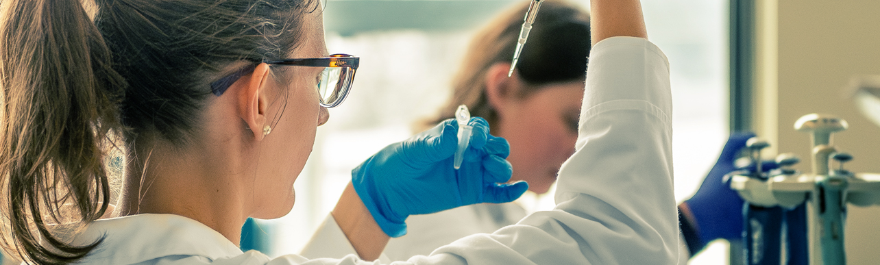Investigao e Desenvolvimento / Research & Development