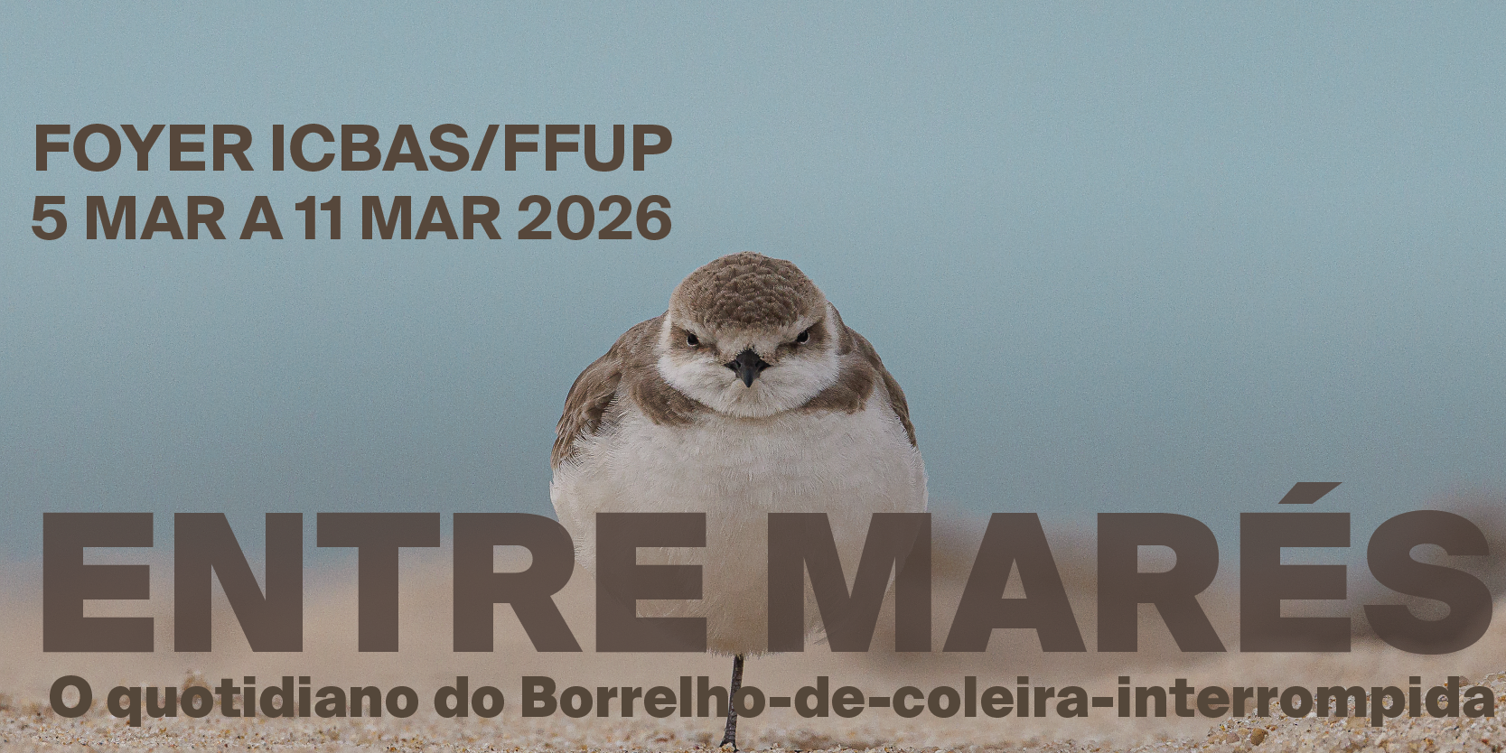 ICBAS inaugura exposi��o sobre comportamento animal