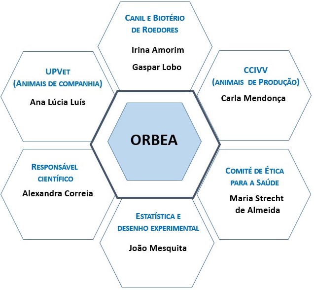 ORBEA Organização