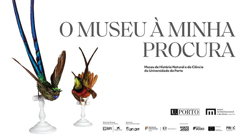 cartaz