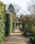 Fotografia do Jardim Botnico / Photo of Botanical Gardens