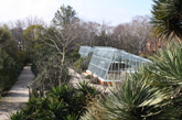 Fotografia de uma Estufa, no Jardim Botnico / Photo of a Greenhouse, in the Botanical Garden