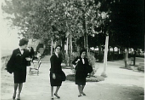 Foto de membros do Teatro Universitrio do Porto nas Portas do Sol, agosto de 1963