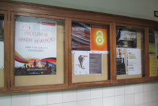 Ícone da foto dos posters de divulgação da Semana AL 2013 e de um Workshop no placard do 1º piso do edifício da Reitoria da U.Porto
