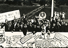 cone de foto da Queimas das Fitas - Estudantes de Economia no Cortejo Acadmico, 1965